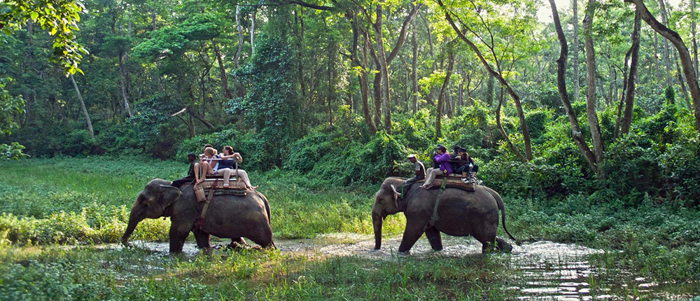 Chitwan Jungle Safari