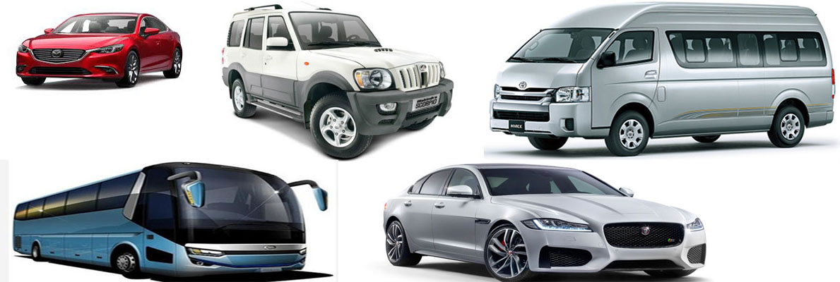 Vehicle Rental
